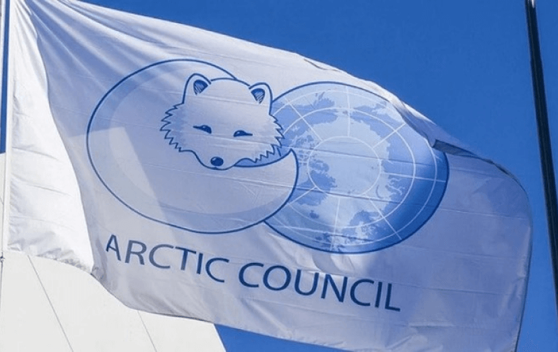 Флаг arctic council